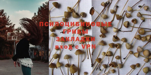 ПСИЛОЦИБИНОВЫЕ ГРИБЫ Арсеньев