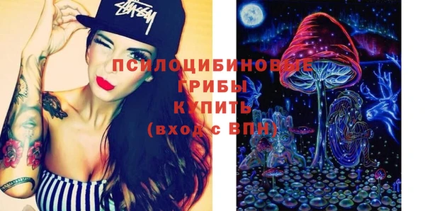 ПСИЛОЦИБИНОВЫЕ ГРИБЫ Арсеньев