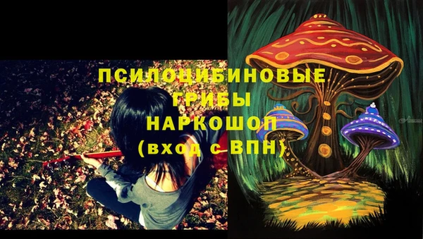ПСИЛОЦИБИНОВЫЕ ГРИБЫ Арсеньев