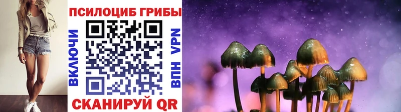 mega tor  Сергач  Псилоцибиновые грибы Magic Shrooms 